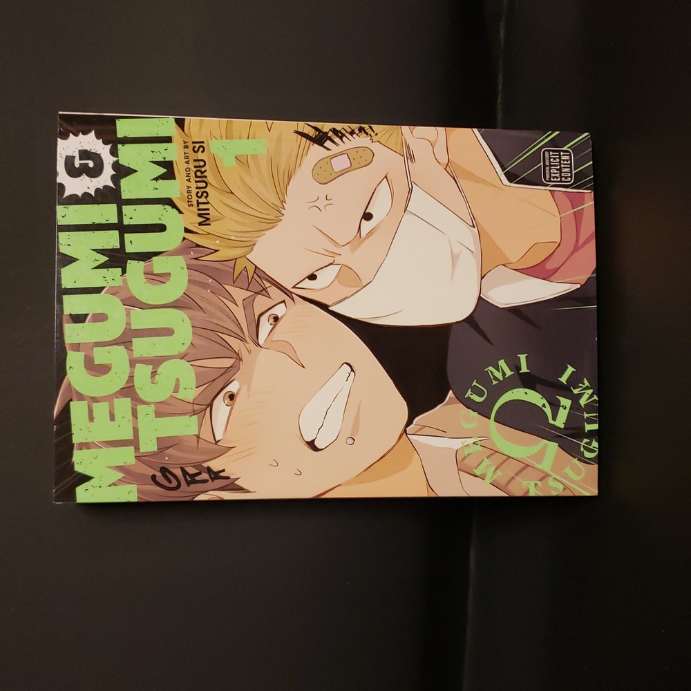 Megumi & Tsugumi Manga Volume 1